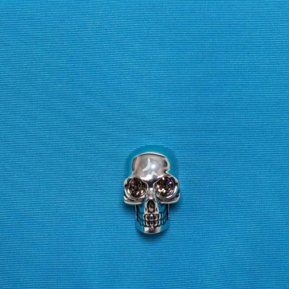 ALEXANDER MCQUEEN, Blue Skull Accent Crossbody Bag - Picture 14 of 16
